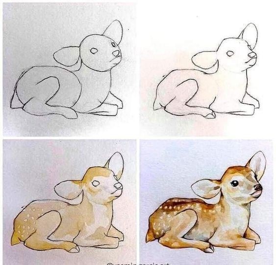 Рисуем животных