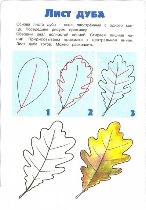 Уроки рисования: листья