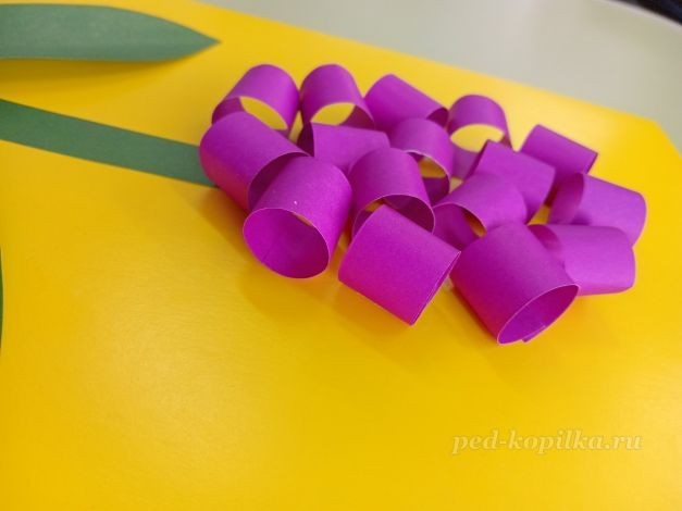 Цветок гиацинт: часть 3