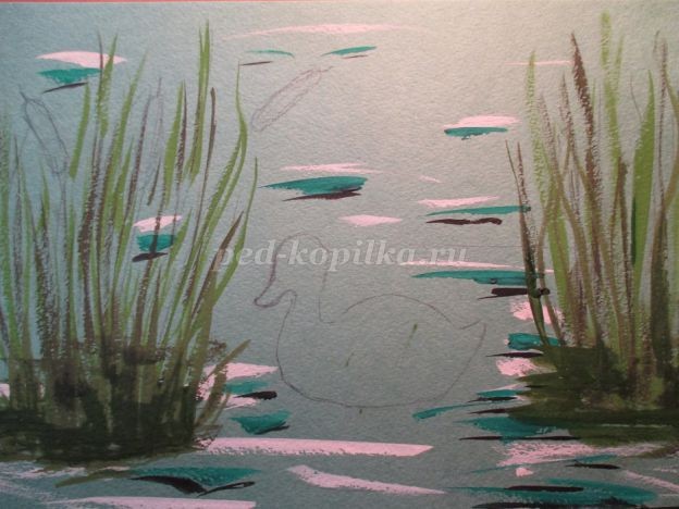 ​Уточка в камышах: часть 2