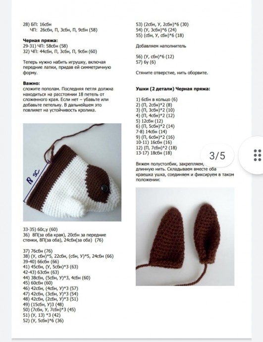 Голландский кролик Голландский кролик