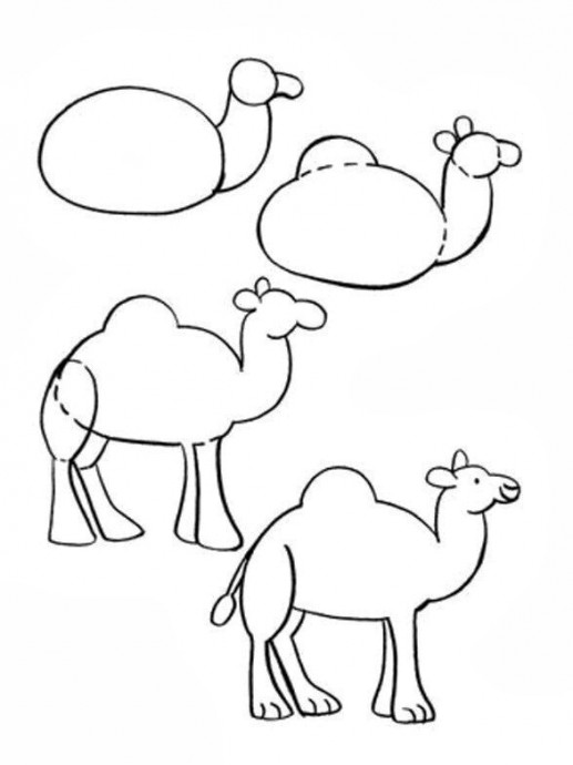 ​Как нарисовать верблюда