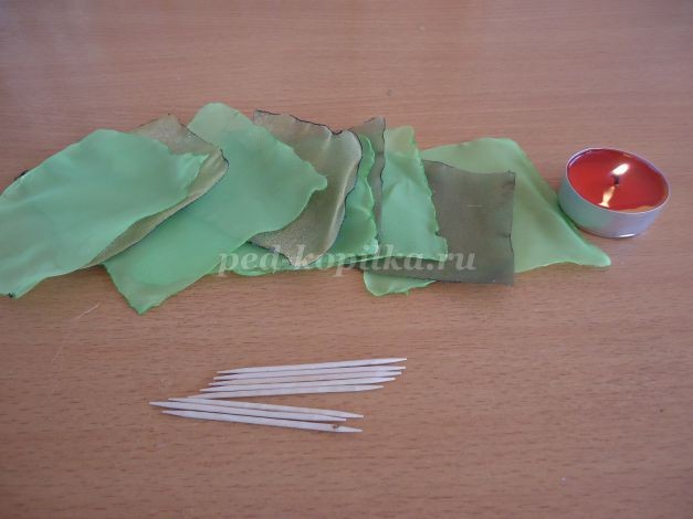 ​Кофейные подснежники: часть 2