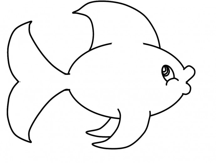 Рыбы-подушки в миниатюрном размере