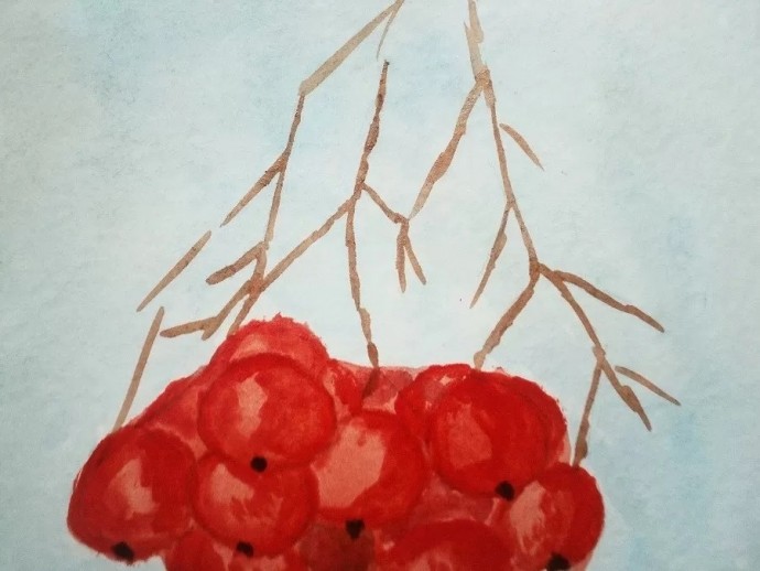 ​Скетч акварелью "Рябина под снегом"