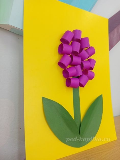 Цветок гиацинт: часть 3