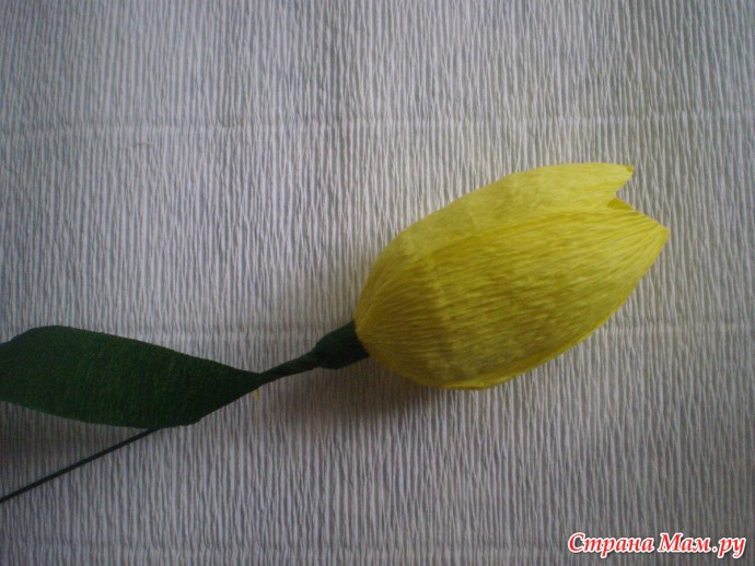 Тюльпаны с конфетками