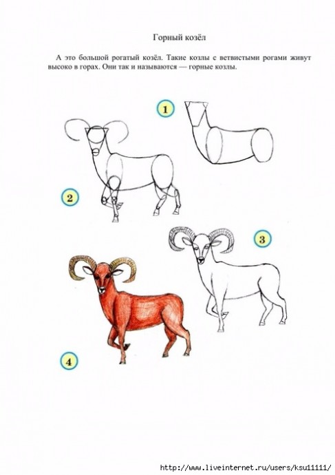 Уроки рисования: животные