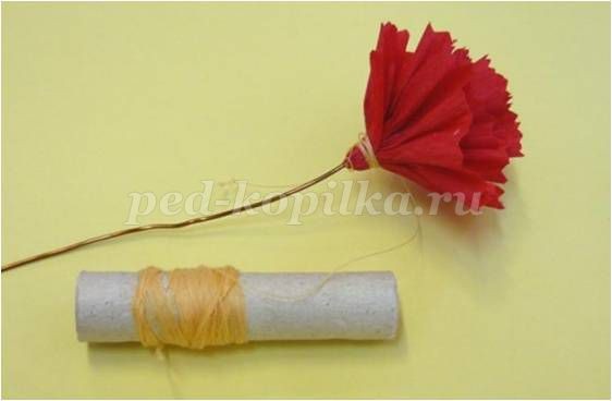Гвоздика из креповой бумаги Гвоздика из креповой бумаги