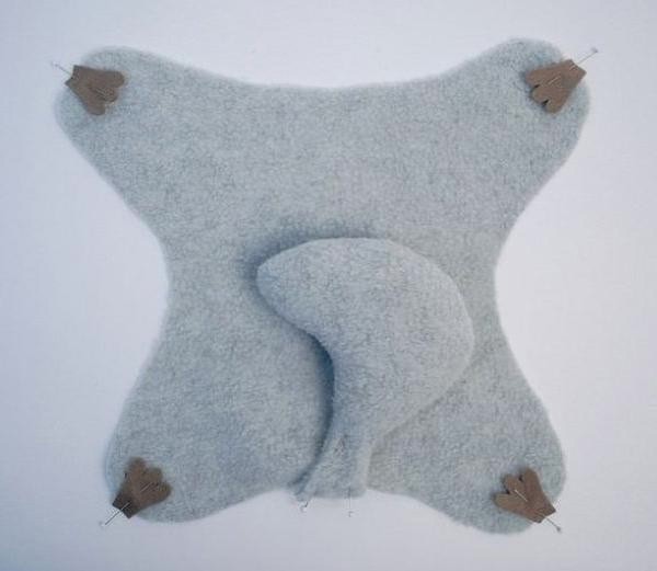 ​Милая белочка-летяга