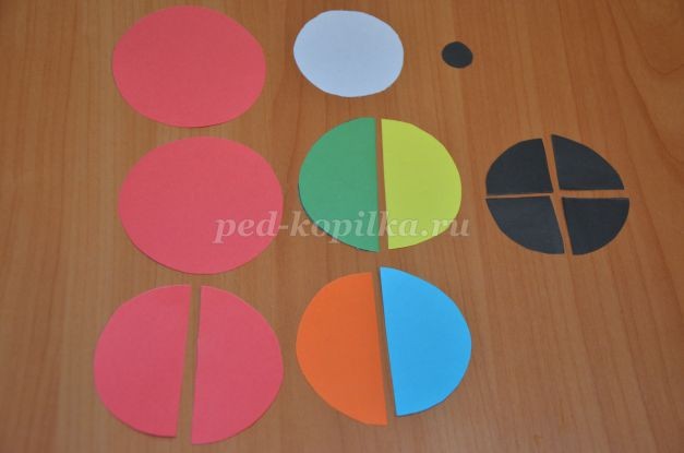 Мой любимый попугай