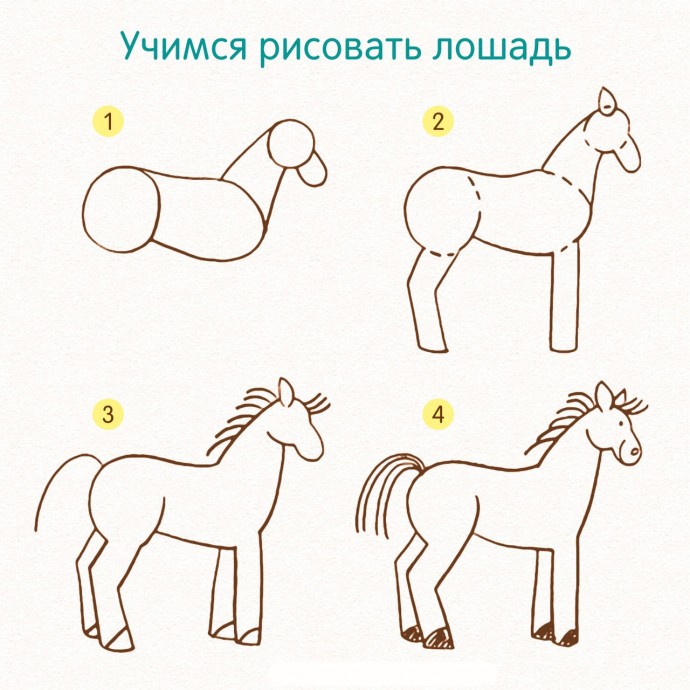 ​Учимся рисовать животных