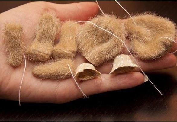 Пушистый медвежонок Пушистый медвежонок