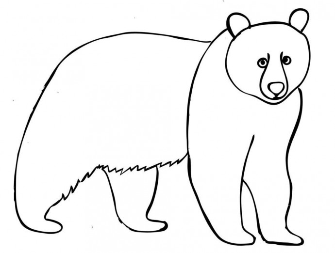 ​Рисуем осеннего мишку