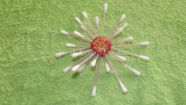 ​Цветочки из ватных палочек