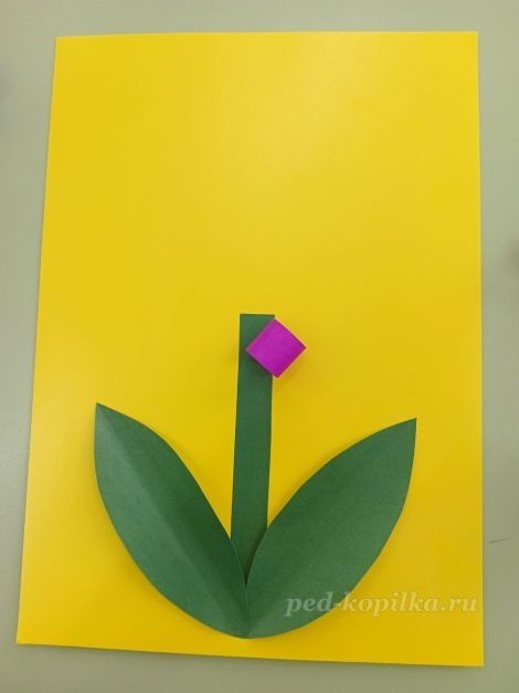 Цветок гиацинт: часть 2