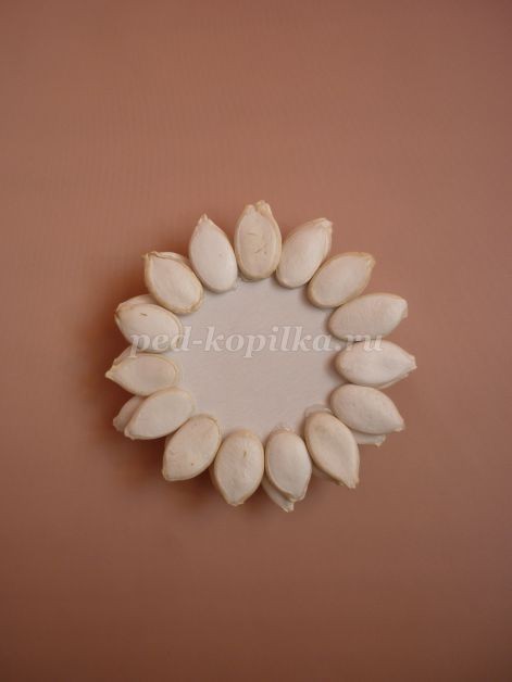 Цветы из тыквенных семечек детскими руками: мастер-класс Цветы из тыквенных семечек детскими руками: мастер-класс