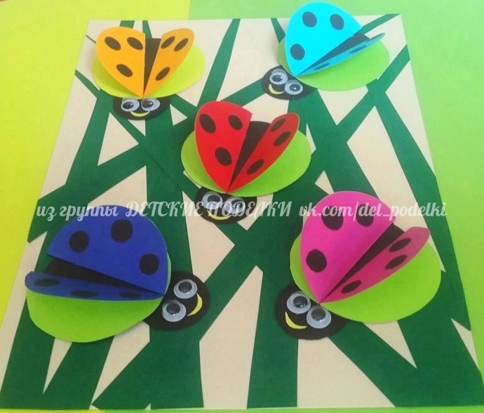 Разноцветные божьи коровки Разноцветные божьи коровки