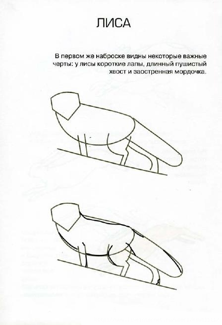 Рисуем животных Рисуем животных