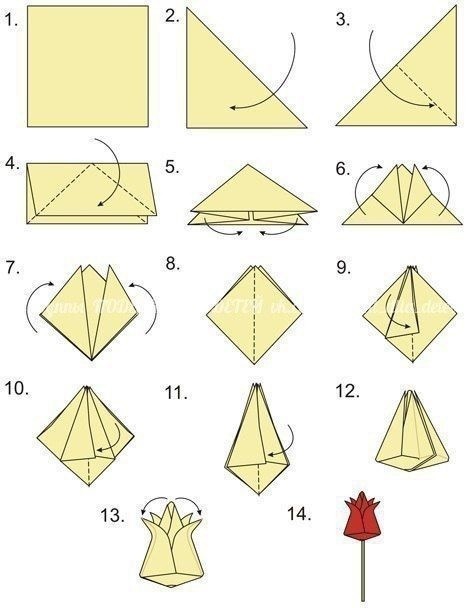 ​Тюльпан-оригами
