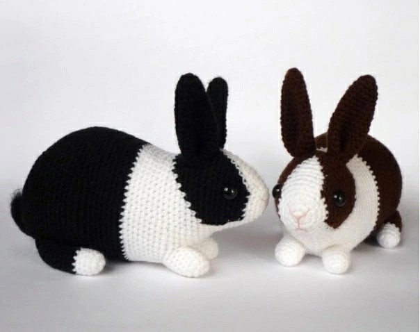 Голландский кролик Голландский кролик