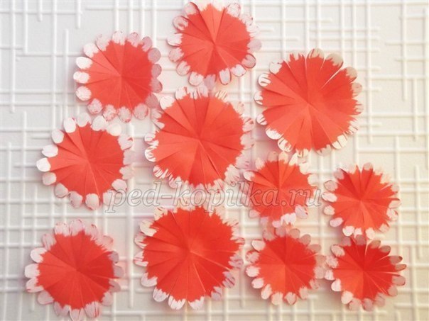 Цветы из бумаги: мастер-класс Цветы из бумаги: мастер-класс