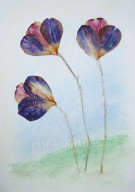 Цветочное чудо Цветочное чудо