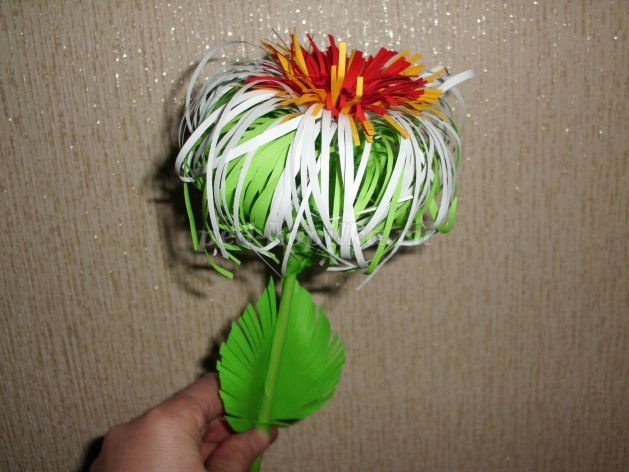 Хризантемы детскими руками: мастер-класс, часть 3 Хризантемы детскими руками: мастер-класс, часть 3