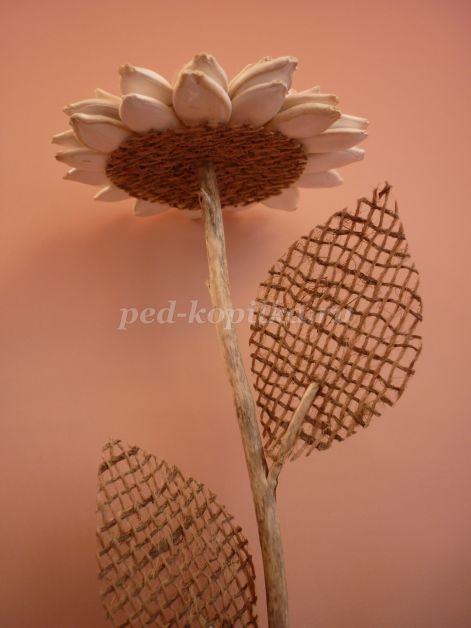 Цветы из тыквенных семечек детскими руками: мастер-класс Цветы из тыквенных семечек детскими руками: мастер-класс