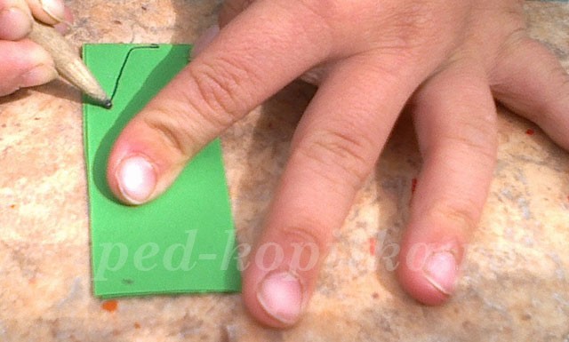 Роза из бумаги: мастер-класс