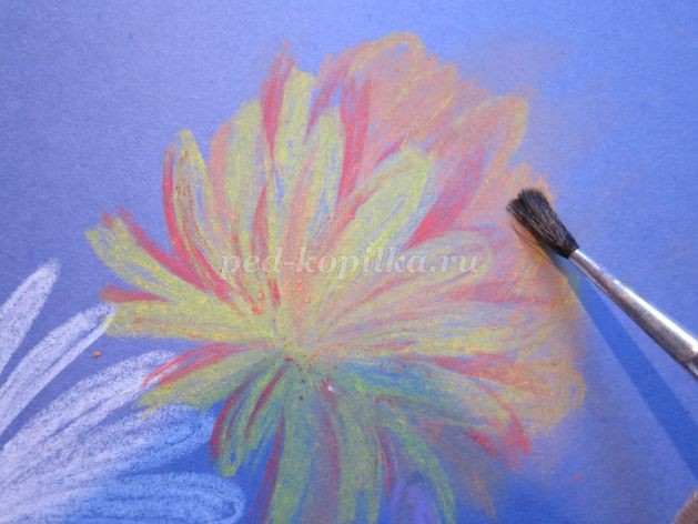 Как нарисовать астры в вазе: часть 2 Как нарисовать астры в вазе: часть 2