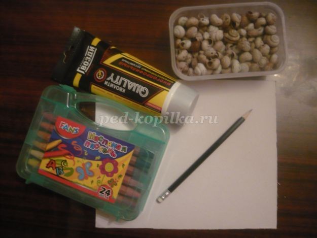 Аппликация "Овечка" из природного материала: часть 1