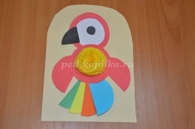 Мой любимый попугай