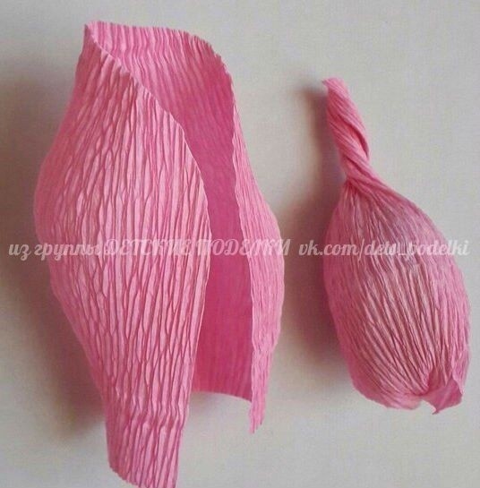 Прекрасные розы Прекрасные розы