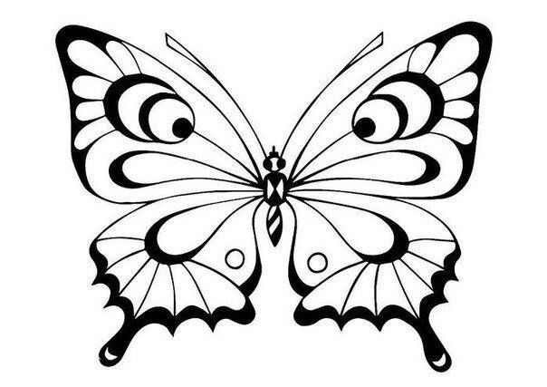 Бабочки с шаблонами