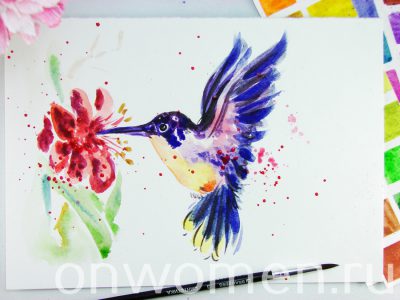 Рисуем колибри акварелью