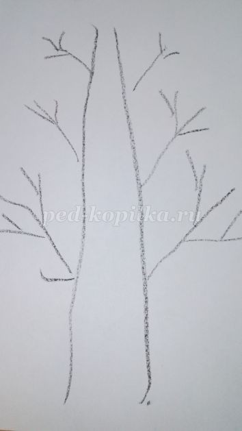 Береза осенью