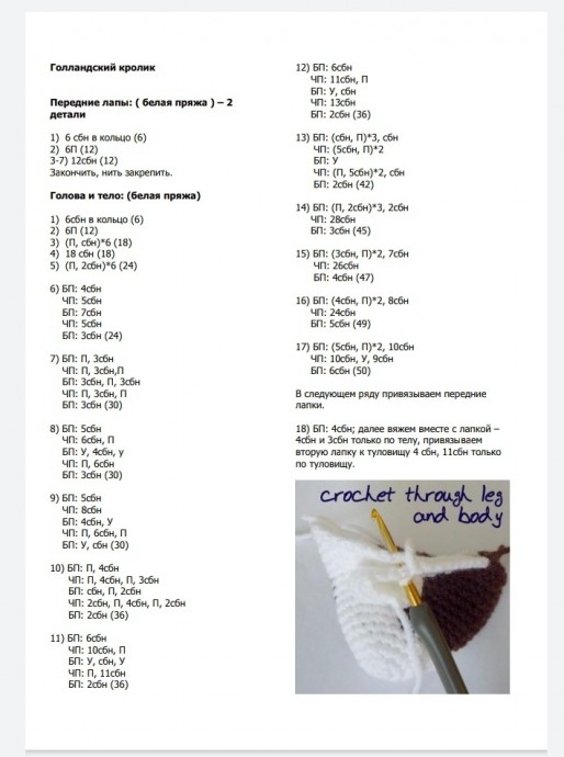 Голландский кролик Голландский кролик