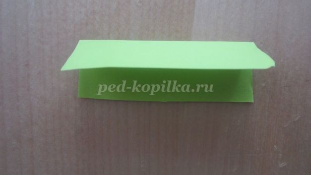 Клумба из бумаги: часть 2