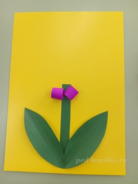 Цветок гиацинт: часть 2