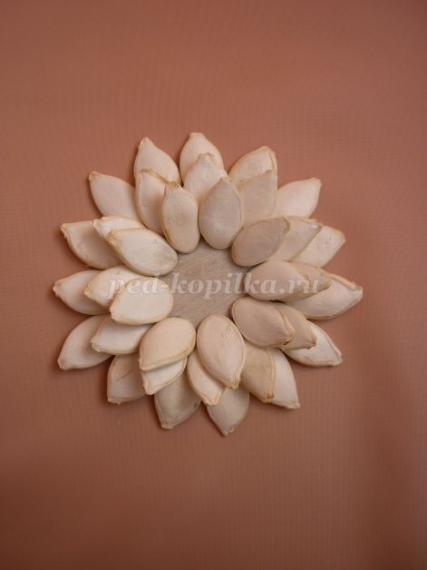 Цветы из тыквенных семечек детскими руками: мастер-класс Цветы из тыквенных семечек детскими руками: мастер-класс