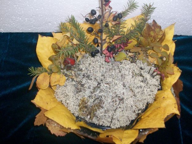 Композиция из даров природы