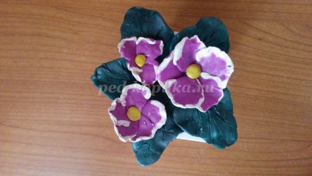 Как сделать цветы фиалки из пластилина Как сделать цветы фиалки из пластилина