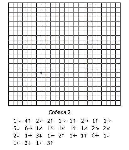 ​Графические диктанты