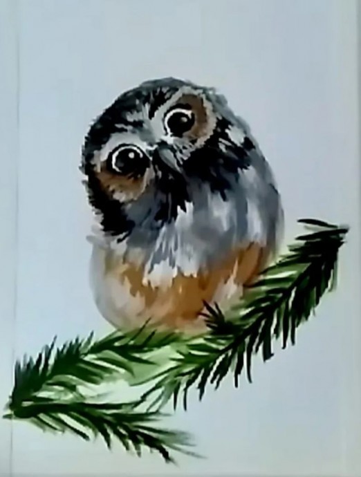 Сова на ели Сова на ели