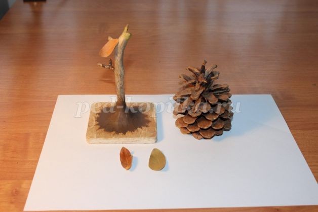 Прекрасная роза для лучшей мамы на свете