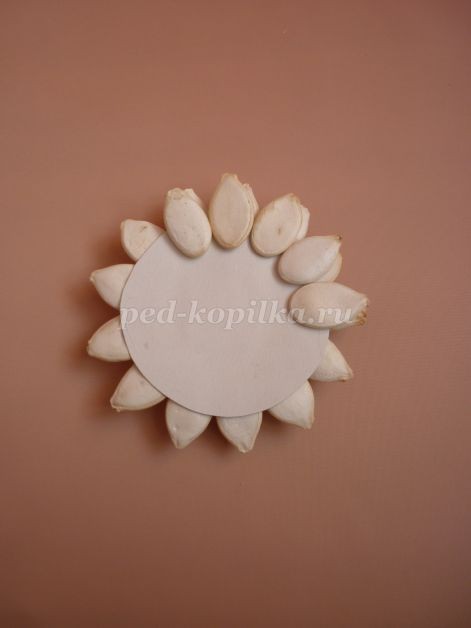 Цветы из тыквенных семечек детскими руками: мастер-класс Цветы из тыквенных семечек детскими руками: мастер-класс