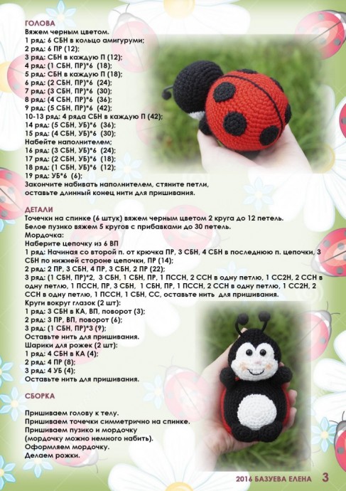 ​Божья коровка