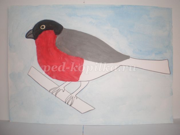 Пластилинография "Снегирь зимой": часть 1