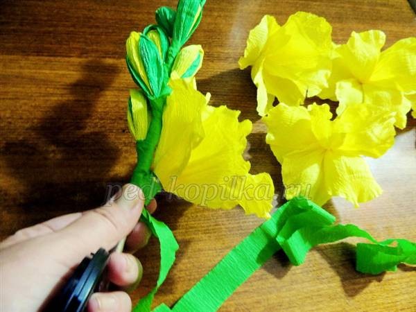 Гладиолусы из гофрированной бумаги: мастер-класс, часть 3 Гладиолусы из гофрированной бумаги: мастер-класс, часть 3